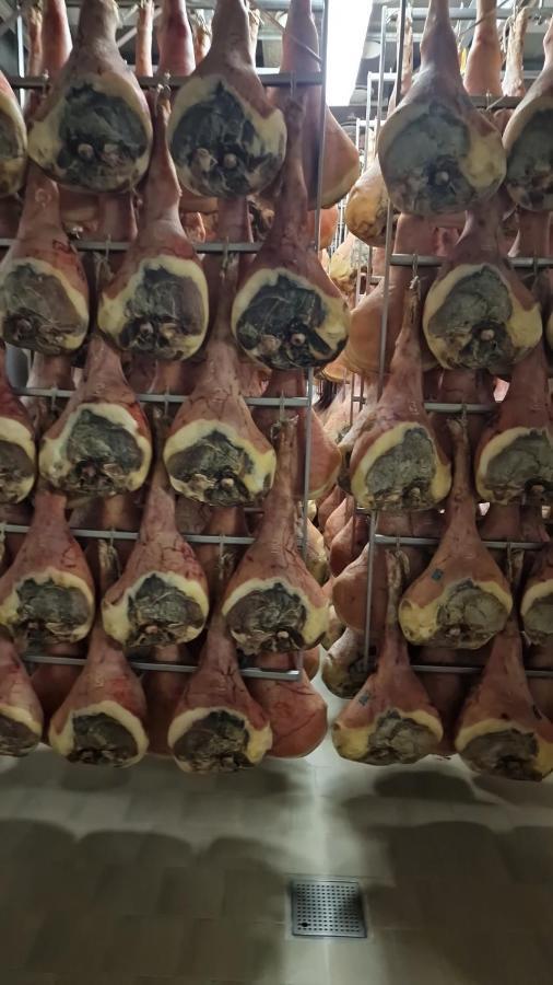 Albergo Ai Sapori San Daniele del Friuli Exteriér fotografie